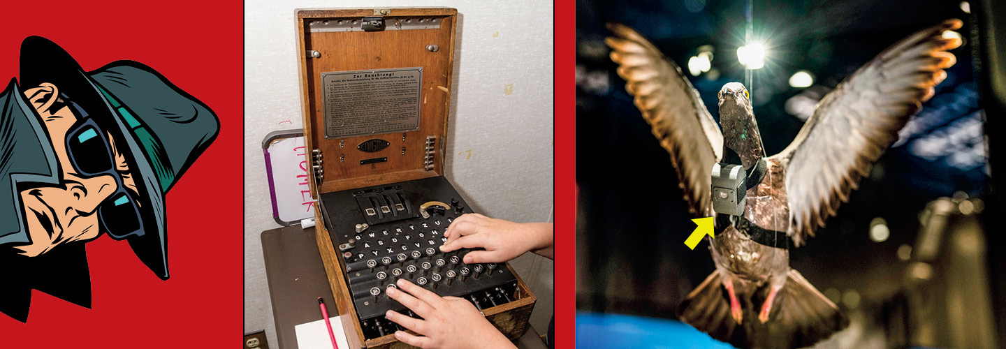 Illustration of a spy, photo of an enigma WWII machine, and a spy camera on a pigeon