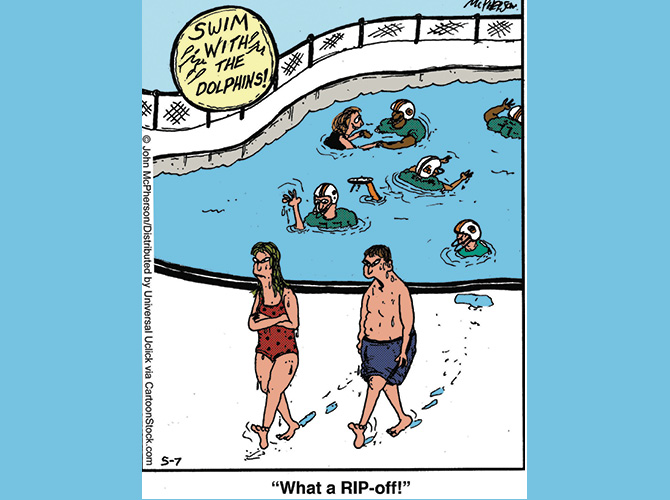 Comic of people walking out of pool since the sign, "Swim with the Dolphins" was about football team