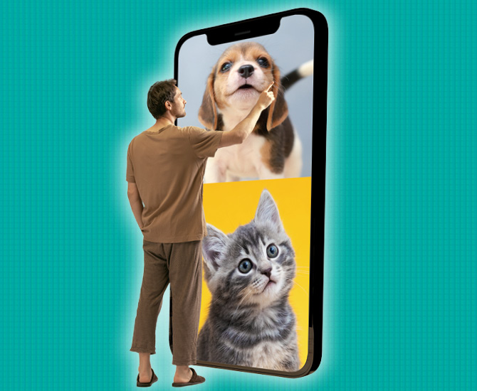 Photo of a person using a person-sized phone to look at photos of cute baby animals