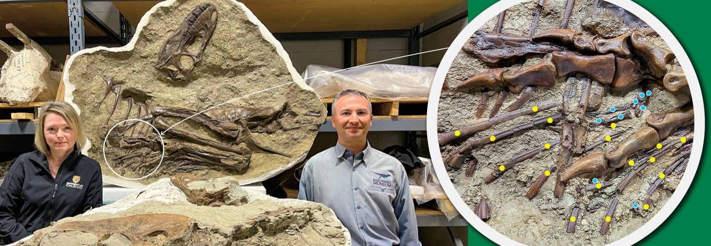 Image of scientists posing next to fossils and highlighting the specific parts of it