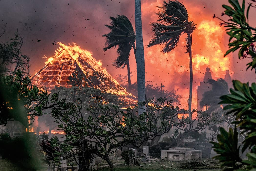 Image of a city & trees burning
