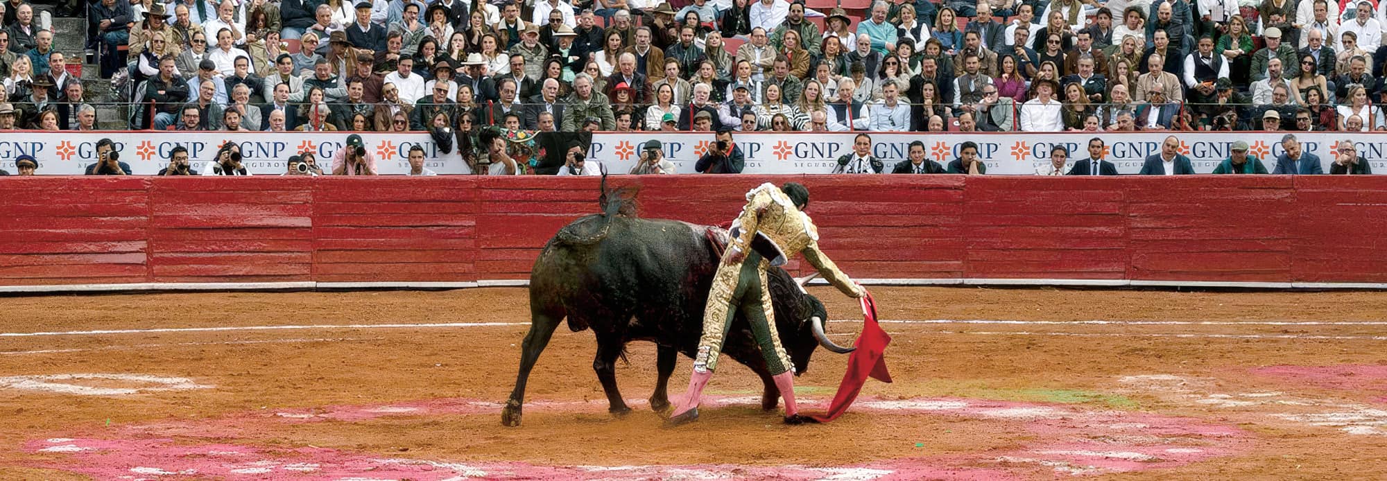 a matador and a bull fighting in front of a large audience