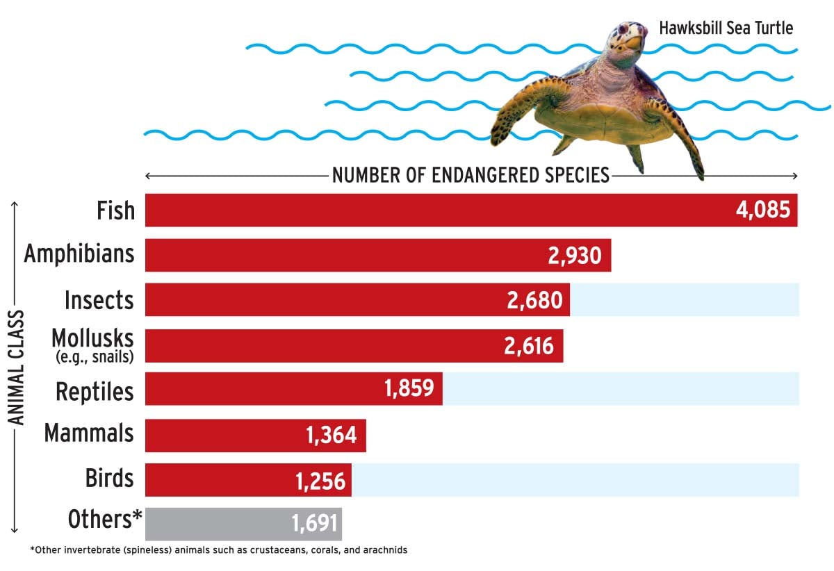 Endangered Animal Species Chart